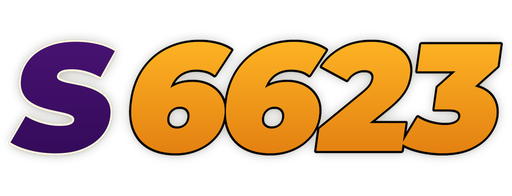 vns6623.com Logo